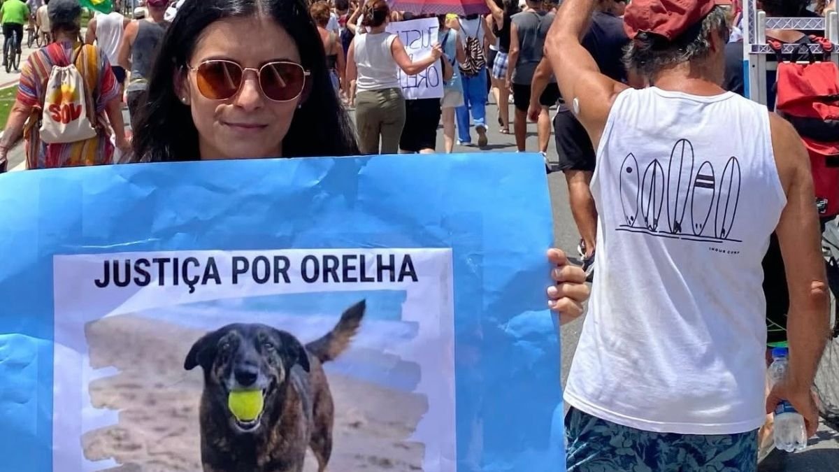 Ato em Camburi cobra justiça por cão Orelha, morto em SC