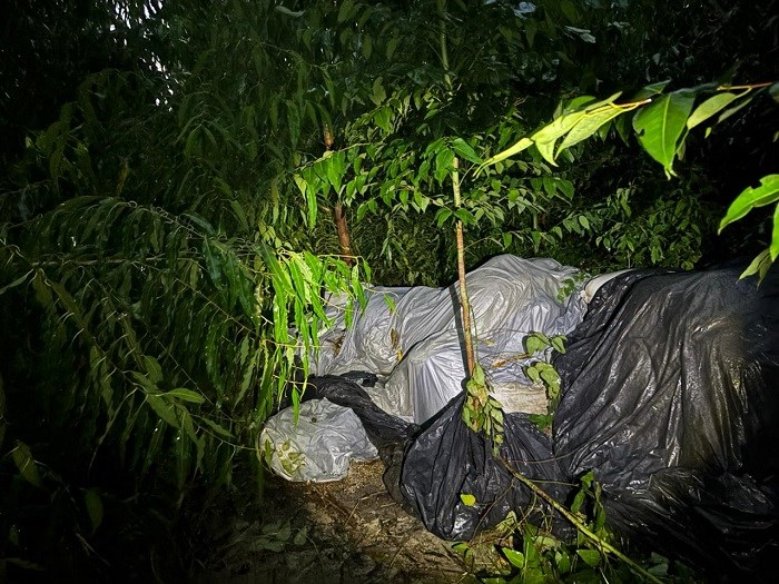 Quatro são presos suspeitos de roubar 5 toneladas de pimenta no ES