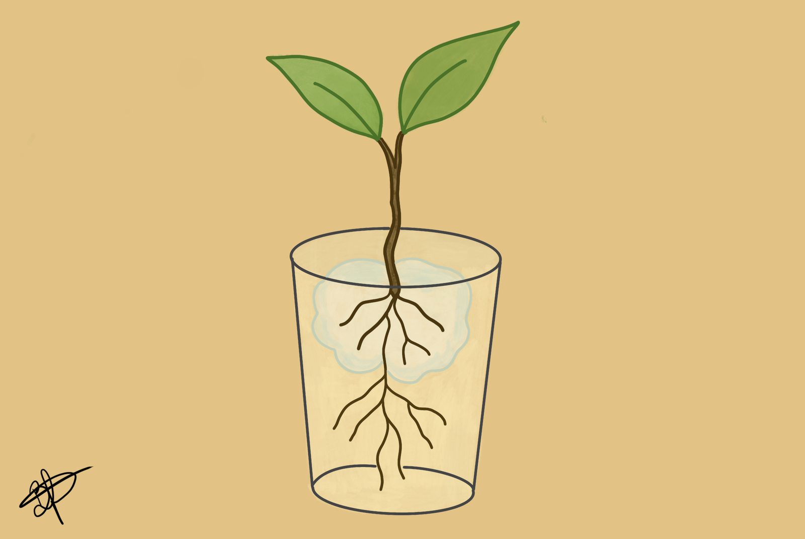 Crônica: Cultivo