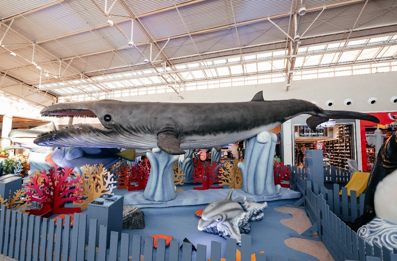 Exposição ‘O Fantástico Mundo Marinho’ chega a Vila Velha em 16 de setembro