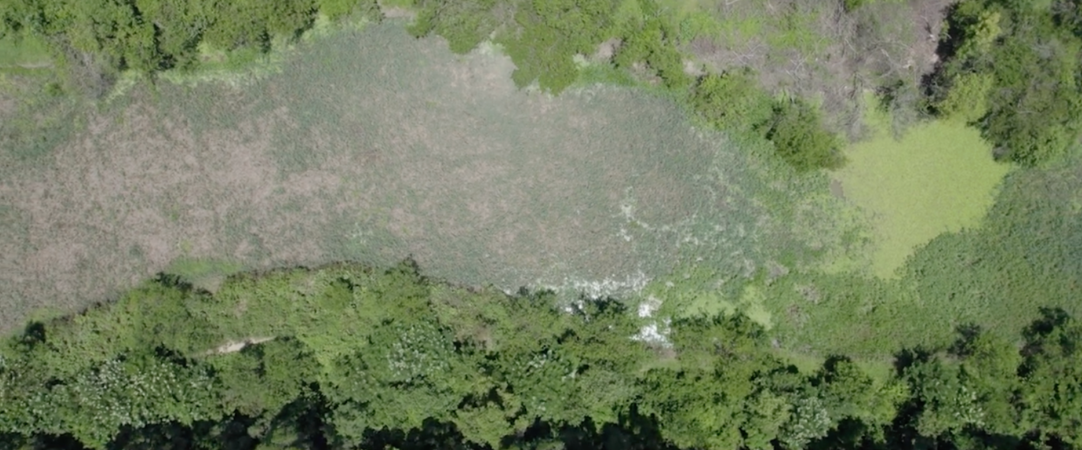 Cineclube Veias Abertas exibe documentário sobre a comunidade do entorno do Rio Marinho