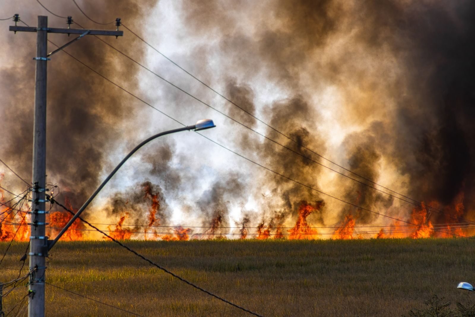 Dramatic field fire with rising smoke and visible power lines, showcasing environmental dangers.